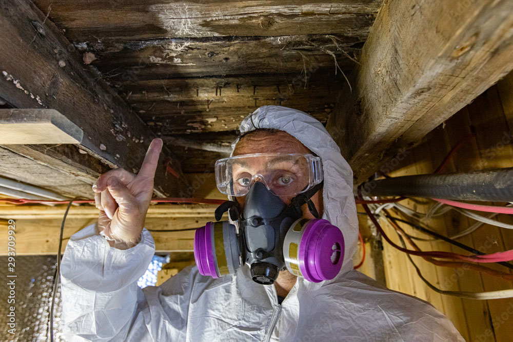 inspector under building inspecting for wood rot