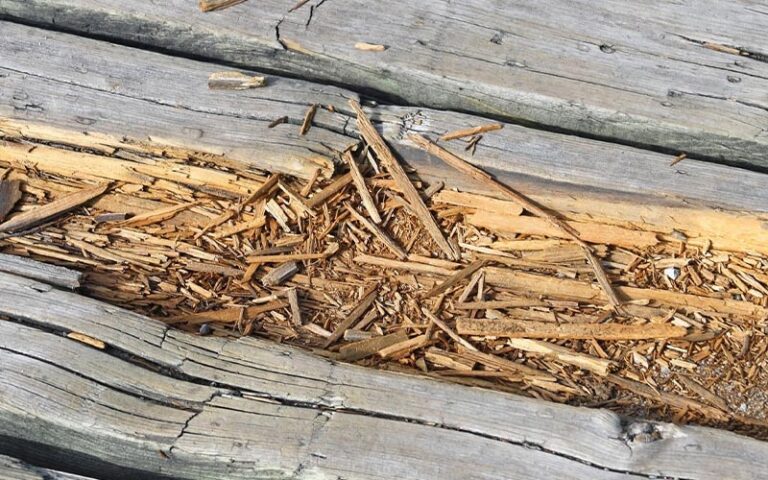 How to Stop Wood Rot on Deck