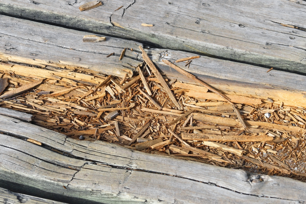 How to Stop Wood Rot on Deck