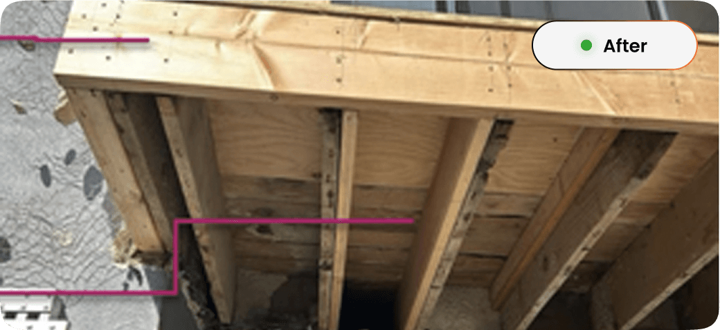 Deck-Inspection